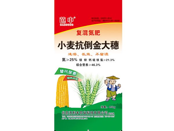 小麥抗倒金大穗