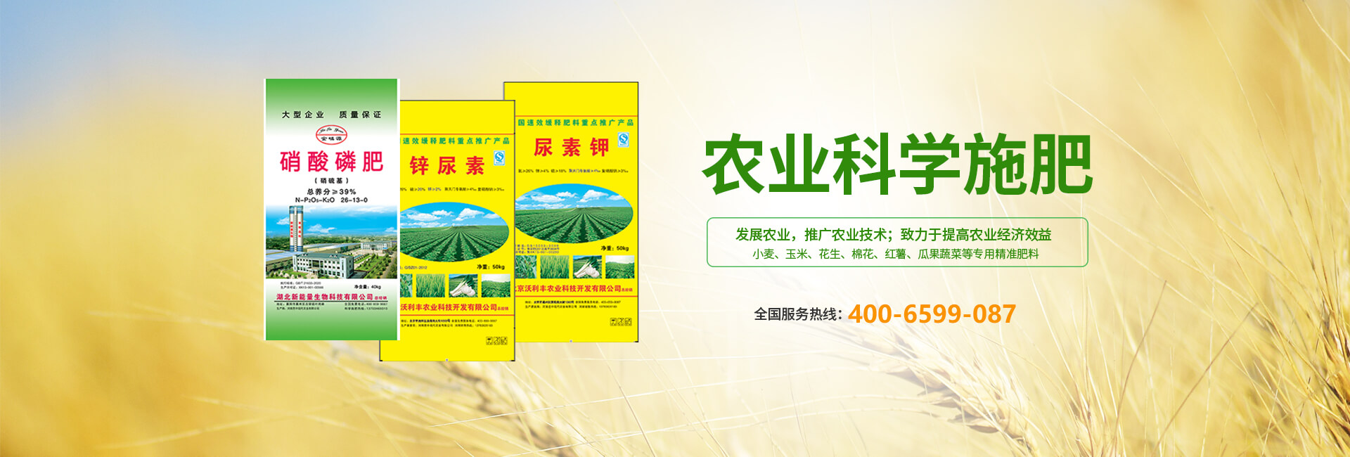 河南芭中現(xiàn)代農(nóng)業(yè)有限公司