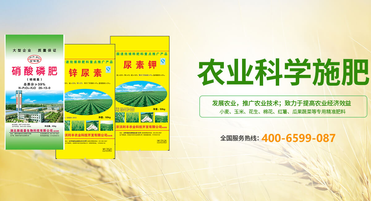 河南芭中現(xiàn)代農(nóng)業(yè)有限公司